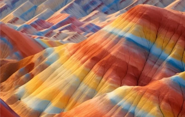 完璧なガンスツアーを計画する方法