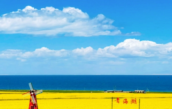 Qinghai Tourの計画
