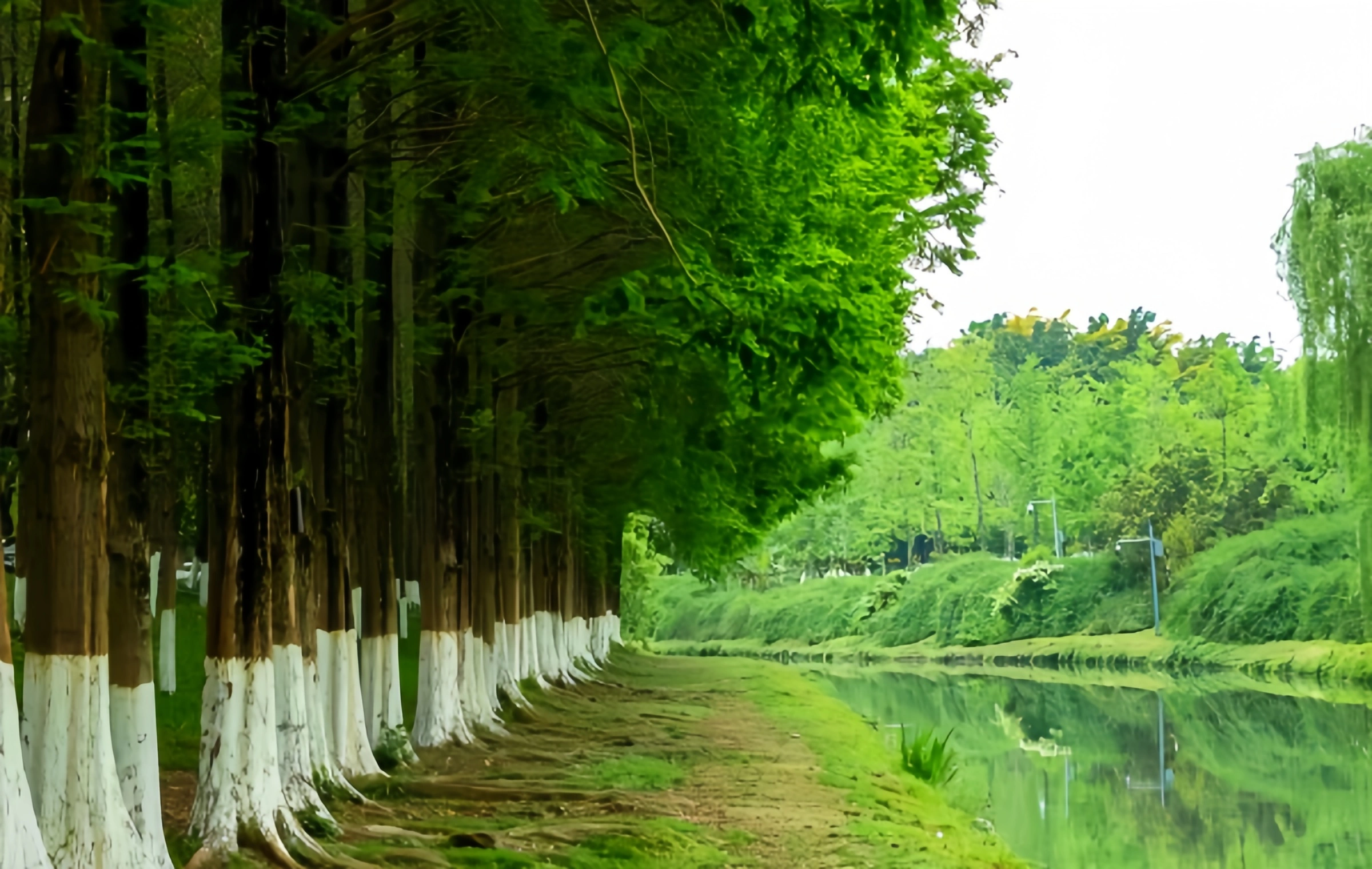 Top 10 Parks in Chengdu