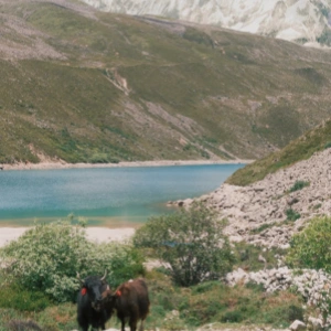 Must-have Documents for Foreign Guests Entering Tibet