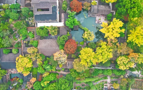 The Lingering Garden: A flowing three-dimensional landscape painting-3