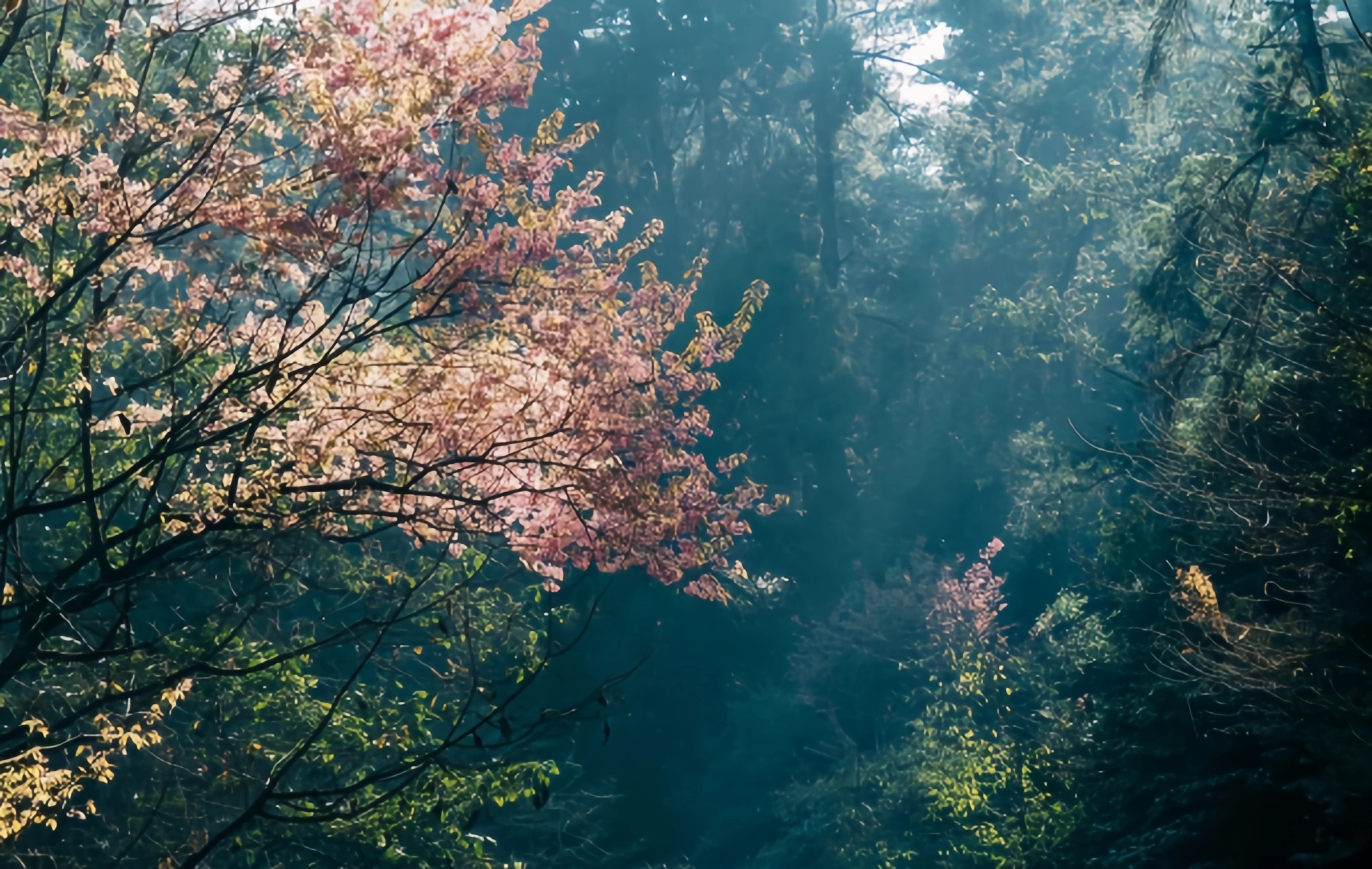 Парк Сишань: Часы Тысячелетия от «Спящей красавицы» Дайан Лейк до Скайлайн Спринг-Сити