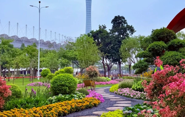 Haixinsha Island: An Asian Games Dream Vessel Berthed at the Heart of the Pearl River-4