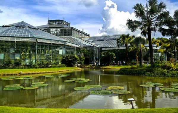 South China Botanical Garden: A vibrant epic of plant evolution and a journey to an urban oasis.