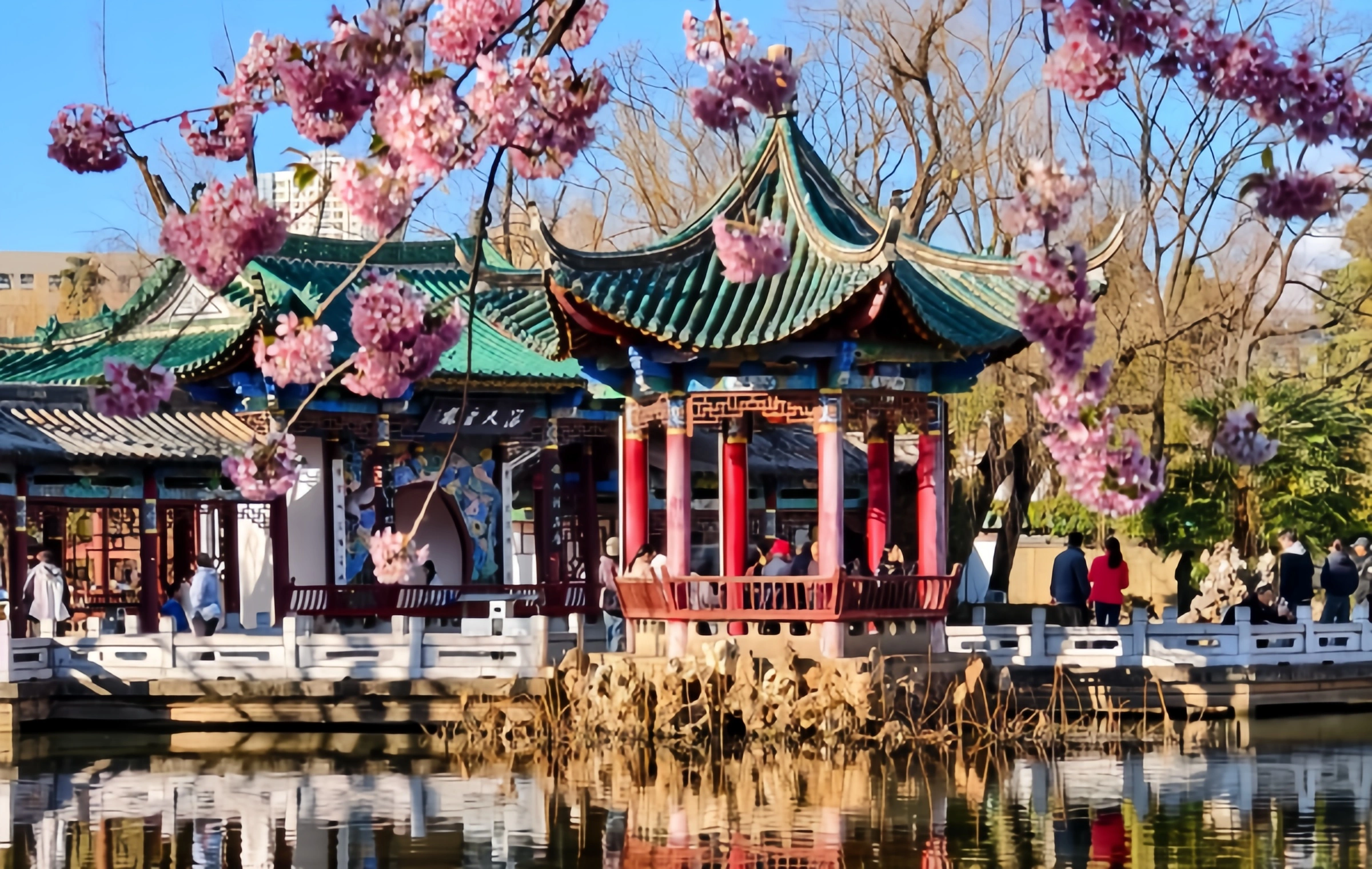 Cuihu Park: A Millennium Turn from 