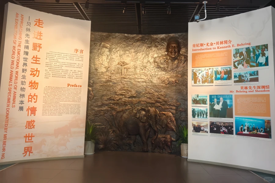 Musée de Shenzhen : un voyage narratif légendaire À travers les âges d'une ville-3
