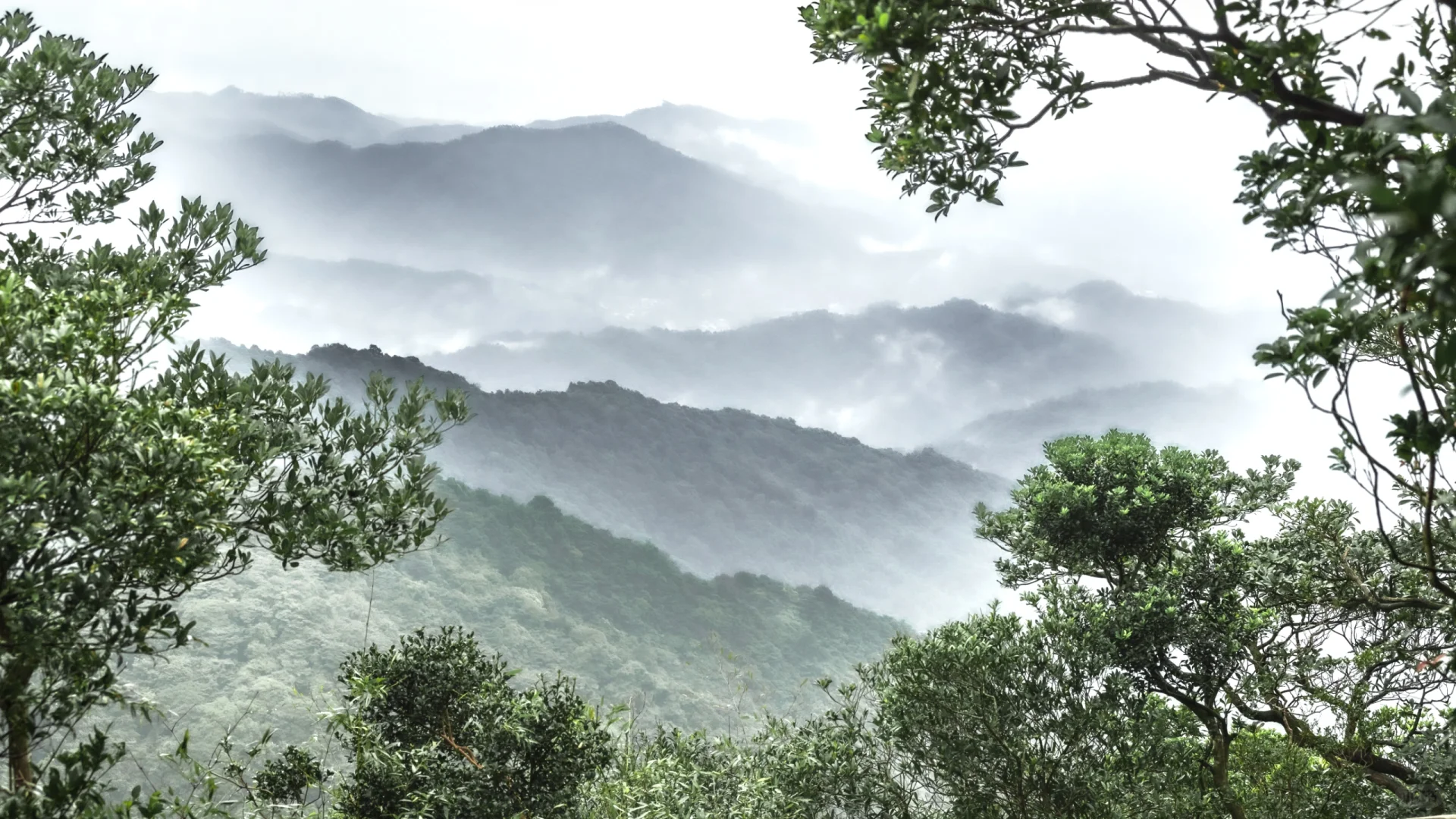 Luofu Mountain: Un viaje para descubrir el País de las Maravillas de la Montaña Premier de Lingnan-2