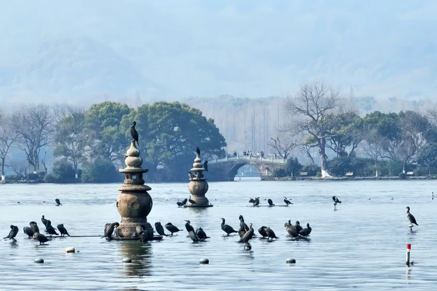 ثلاثة صناديق ميرورينغ القمر: موكب حديقة من مشروع الدراجة في سو Causeway إلى إيكون ثقافي للبحيرة الغربية-2