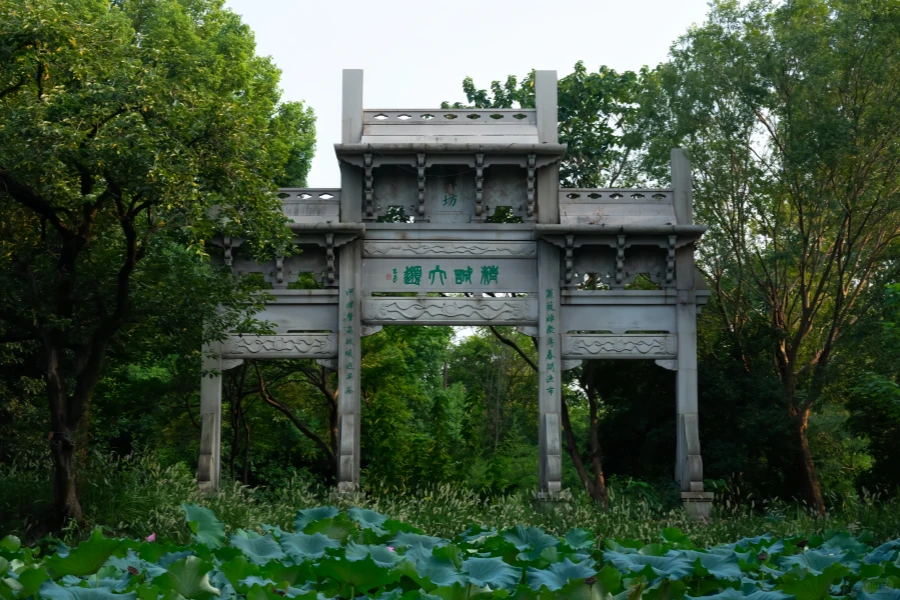 Xixi National Wetland Park: A Journey Through a Thousand-Year-Old Wetland Secret in the Heart of the City-4