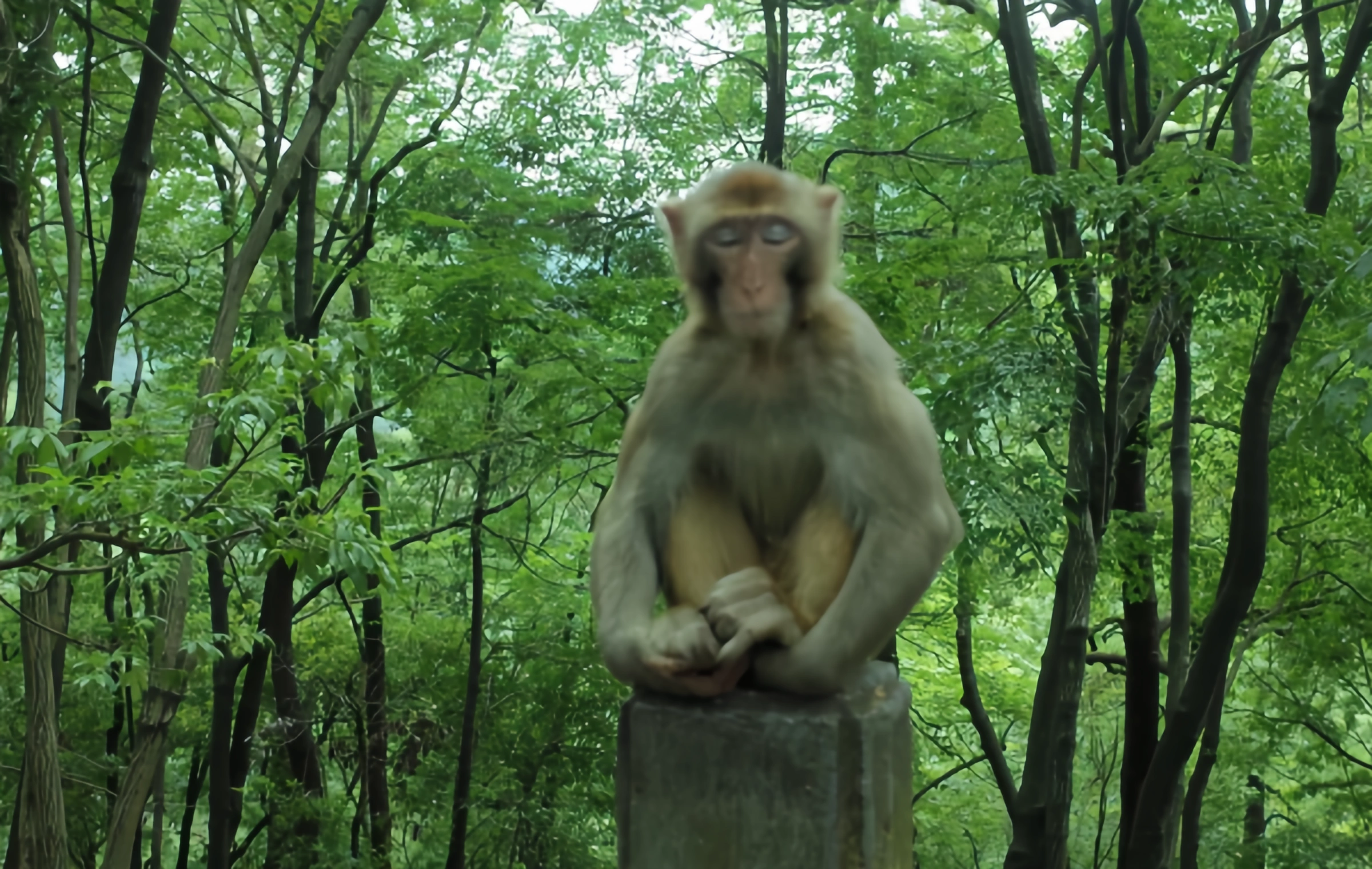 Qianlingshan Park: Poetic Dwelling in the Central Mountains and Wilderness of the City, and the Adventure of the 