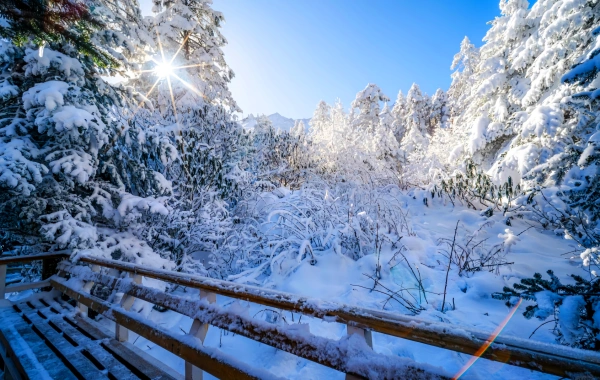 Glacier di Hailuogou: Un'era glaciale all'interno di Reach e un regno segreto delle sorgenti calde di neve-4