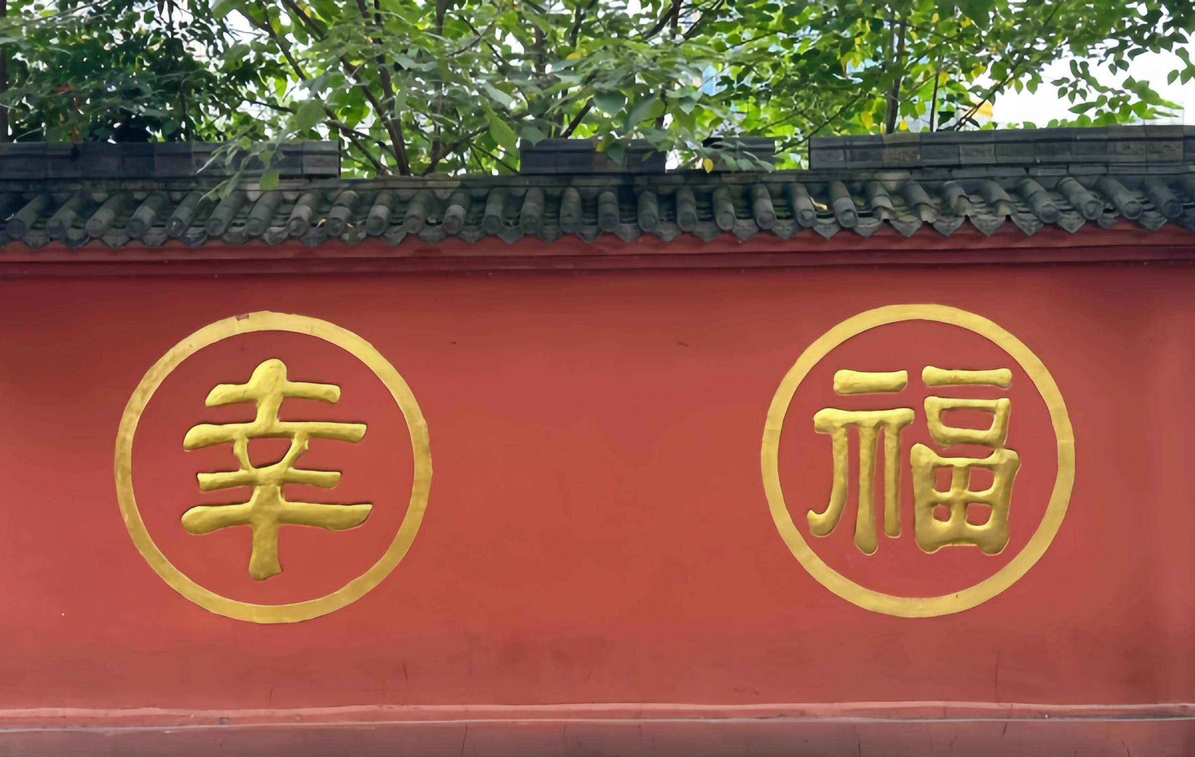 وينشو دير: رحلة هادئة عبر غابة زين المحطمة والمعبد القديم في الألفية-3