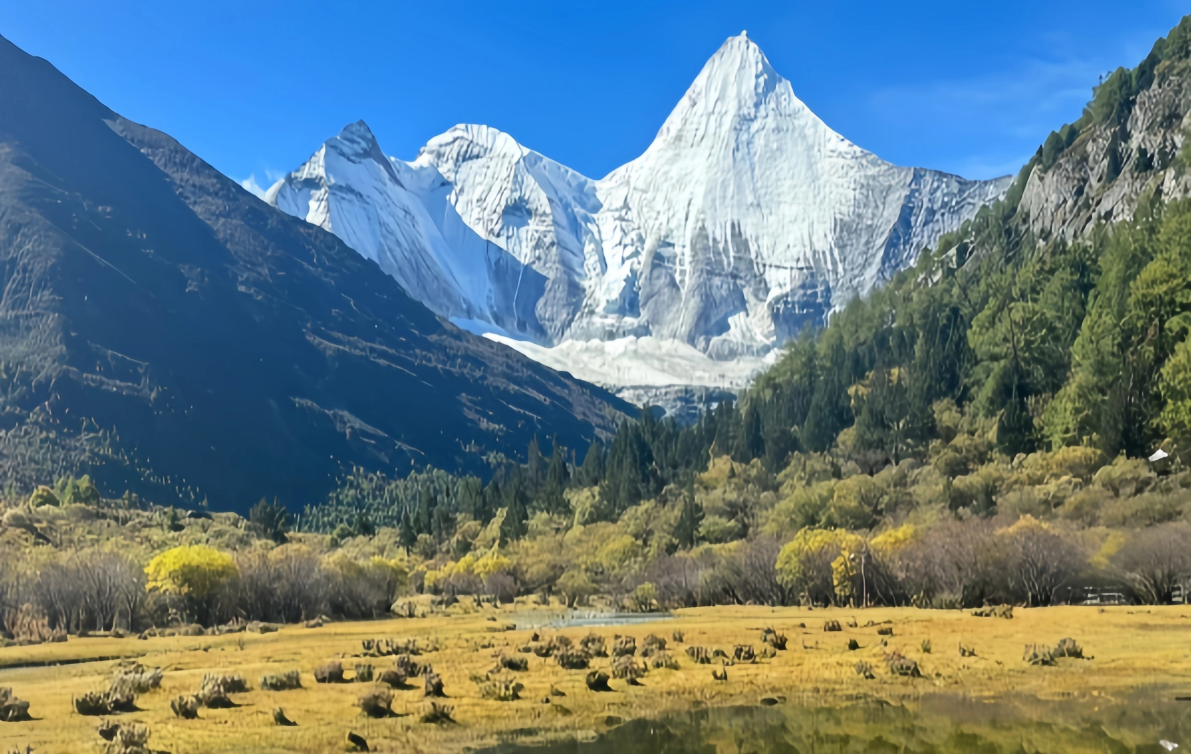 Daocheng Yading: La última tierra pura en el planeta azul