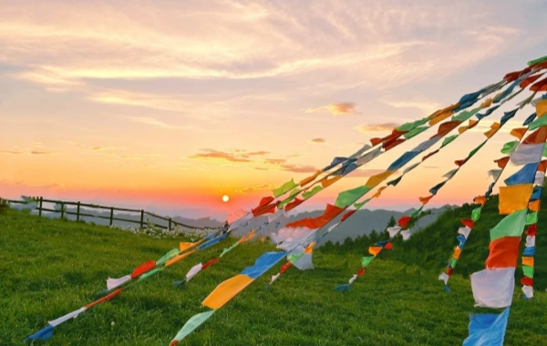 Caohai Lake: A Journey to the Highland Pearl, Winter Haven for Migratory Birds, and Wetland Wonderland-2