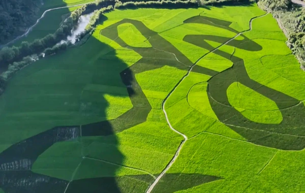 Dragon Palace: Eine Reise ins Underground Karst Museum und das legendäre 