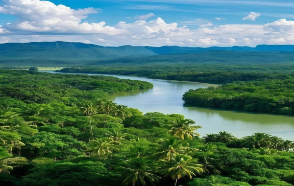 Primeval Forest Park: Un viaje al reino secreto del reino del pavo real y las selvas tropicales-3