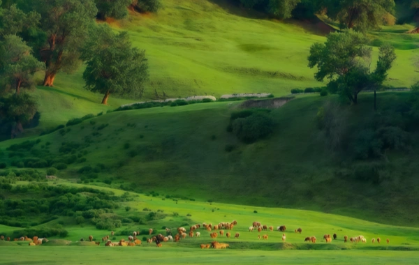 Ulan Butong Grassland: A Cinematic Journey - Galloping Through European-Style Landscapes and Famous Filming Locations (недоступная ссылка — история).-4