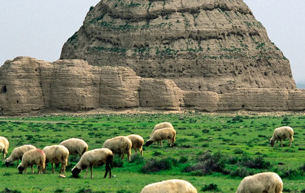 West Xia Tombs: Los Mysterious Echoes of a Vanished Dynasty-3