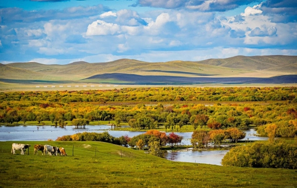 Водно-болотные угодья Эргуна: Путешествие в «Азиатскую водно-болотную угодье» — вырезано рекой Виндинг Ген-3