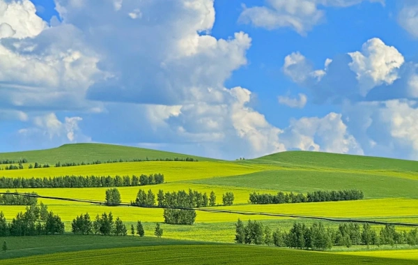 Hulunbuir Grassland:A Путешествие к самой извилистой реке в мире в королевстве пастбищ