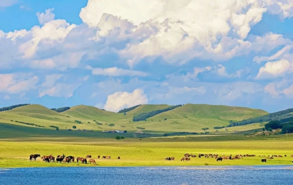 Hulunbuir Grassland:A Путешествие к самой извилистой реке в мире в королевстве пастбищ-2