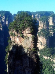 Avatar Experience Tour