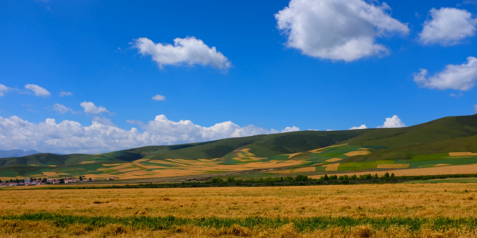 A Comprehensive Overview of Qinghai