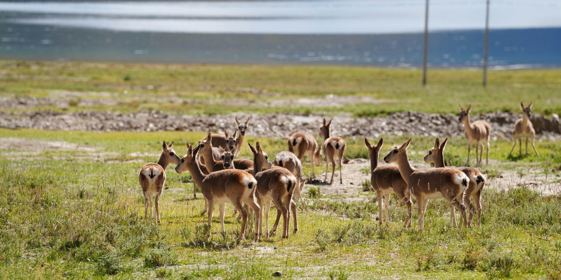 Must-Know über die Tibet Entry Permit