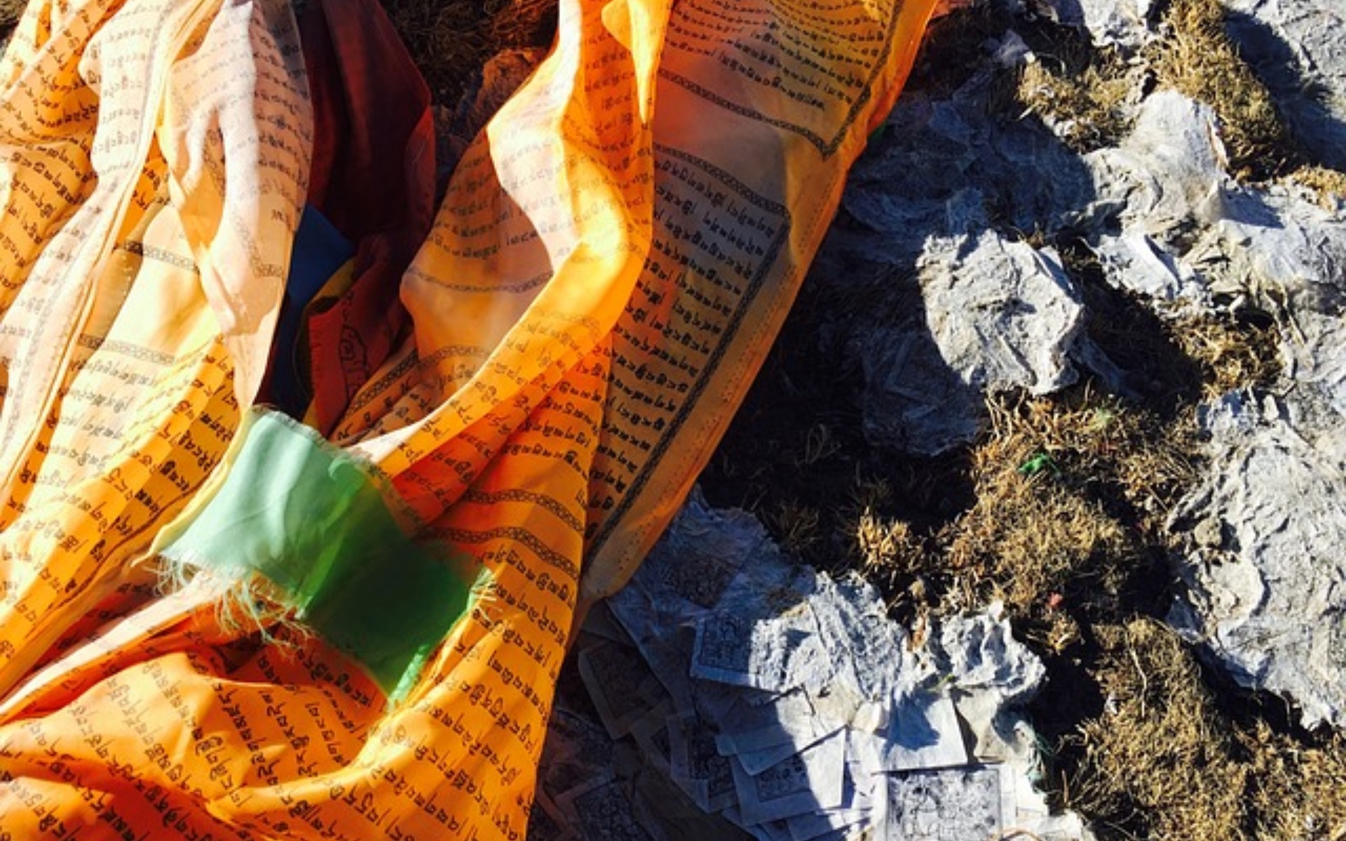 День 5: Цинхай