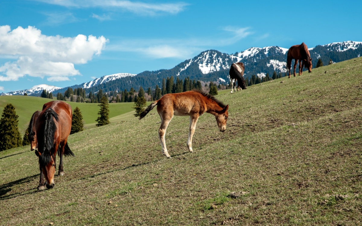 Day 1: Turpan Arrival