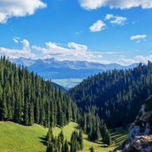 信江文化没入:歴史6日、伝統、風光明媚な美