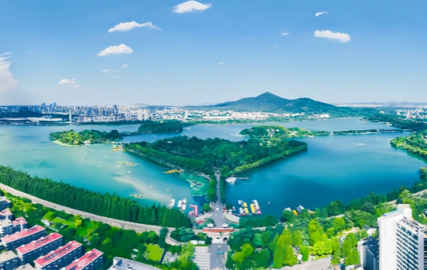 Cultural Programming & Curation