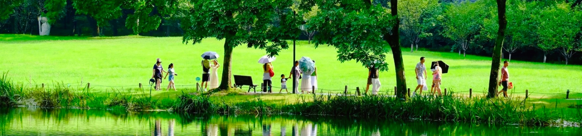 프린스 베이 공원 : West Lake Silt Site에서 Springtime Peak로의 Rebirth Journey