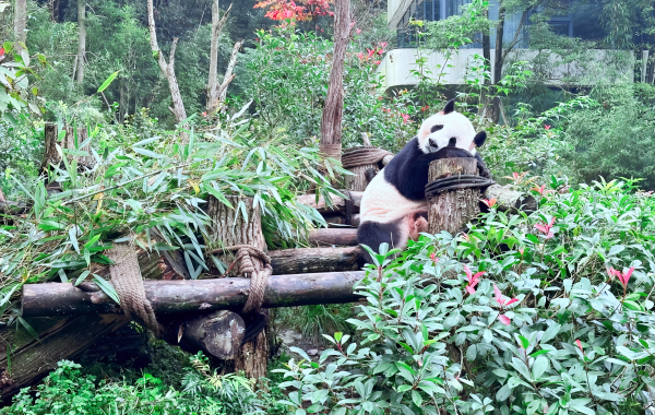 Savor the Spice: Un voyage culinaire à travers les plats les plus iconiques