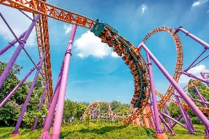 Theme Parks and Resorts