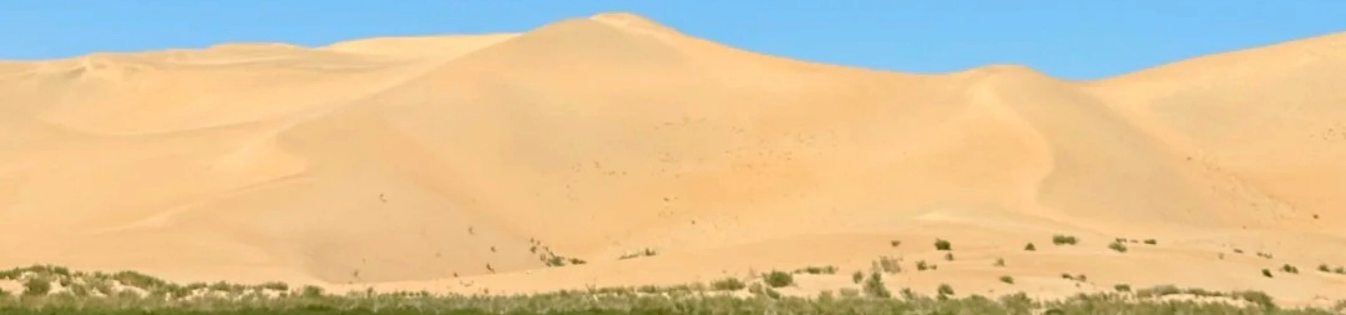 Qixing Lake Desert Eco-Tourism المنطقة