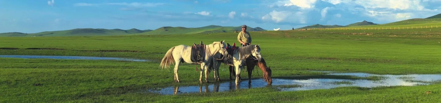 Hulunbuir Grasland