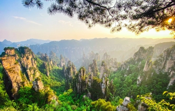 Day 3: Shanghai - Zhangjiajie