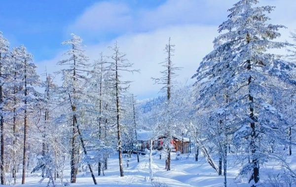  Giorno 7: Harbin a Città della Neve