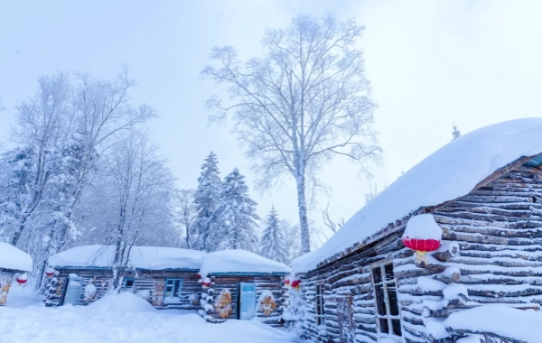  Giorno 7: Harbin a Città della Neve