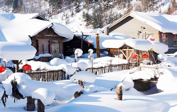 Giorno 8: Città della neve a Yabuli