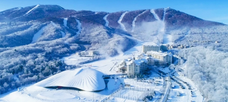 Giorno 8: Città della neve a Yabuli