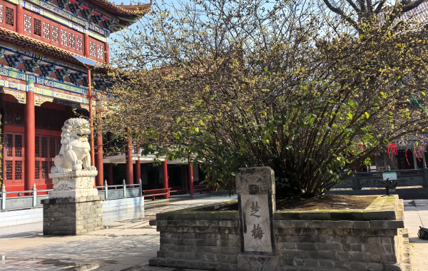 Furong Ancient Town