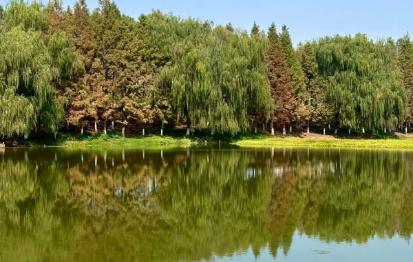 Furong Ancient Town