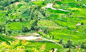 Day 4: Yuanyang Terraces 