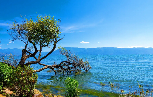 Day 3: Dali - Lijiang