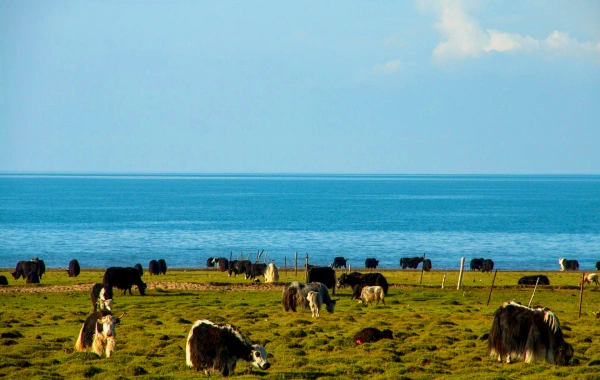 Day 2: Riyue Mountain - Qinghai Lake