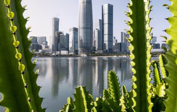 Día 1: Llegada de Shenzhen