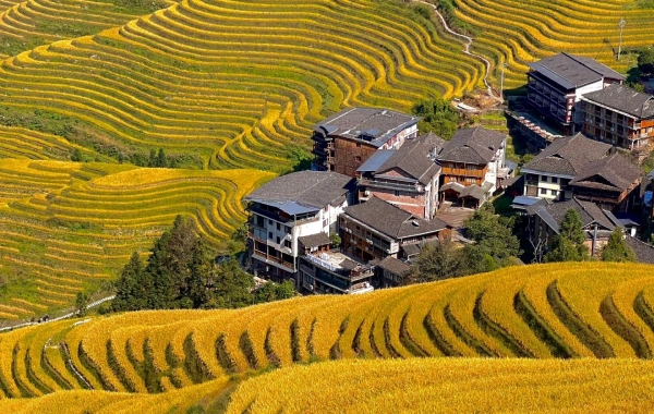 Day 4: Yangshuo - Longsheng 
