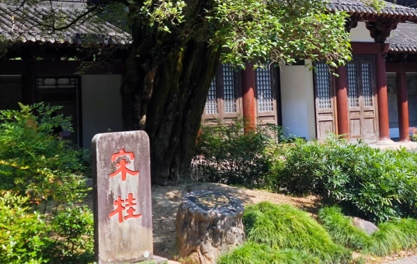 行程图片